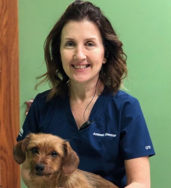 Dr. Jennifer Arneson grew up in Lincoln, NE, receiving her Bachelor of Science degree from the University of Nebraska, Lincoln in 1992, and her Doctor of Veterinary Medicine degree from Kansas State University in 1997. Dr. Arneson started Animal Doctor Veterinary Clinic in 1998 and Animal Doctor Westside in Manhattan, KS (with Dr. Michelle Iseman) in 2017. Dr. Arneson’s husband Ty oversees the day to day operations of both veterinary clinics, as well as two campgrounds and a marina. Dr. Arneson and her husband have two children, Nick and Beth, and two dogs, Elly and Alice. Dr. Arneson’s areas of interest include geriatric care, dermatology, and internal medicine.
