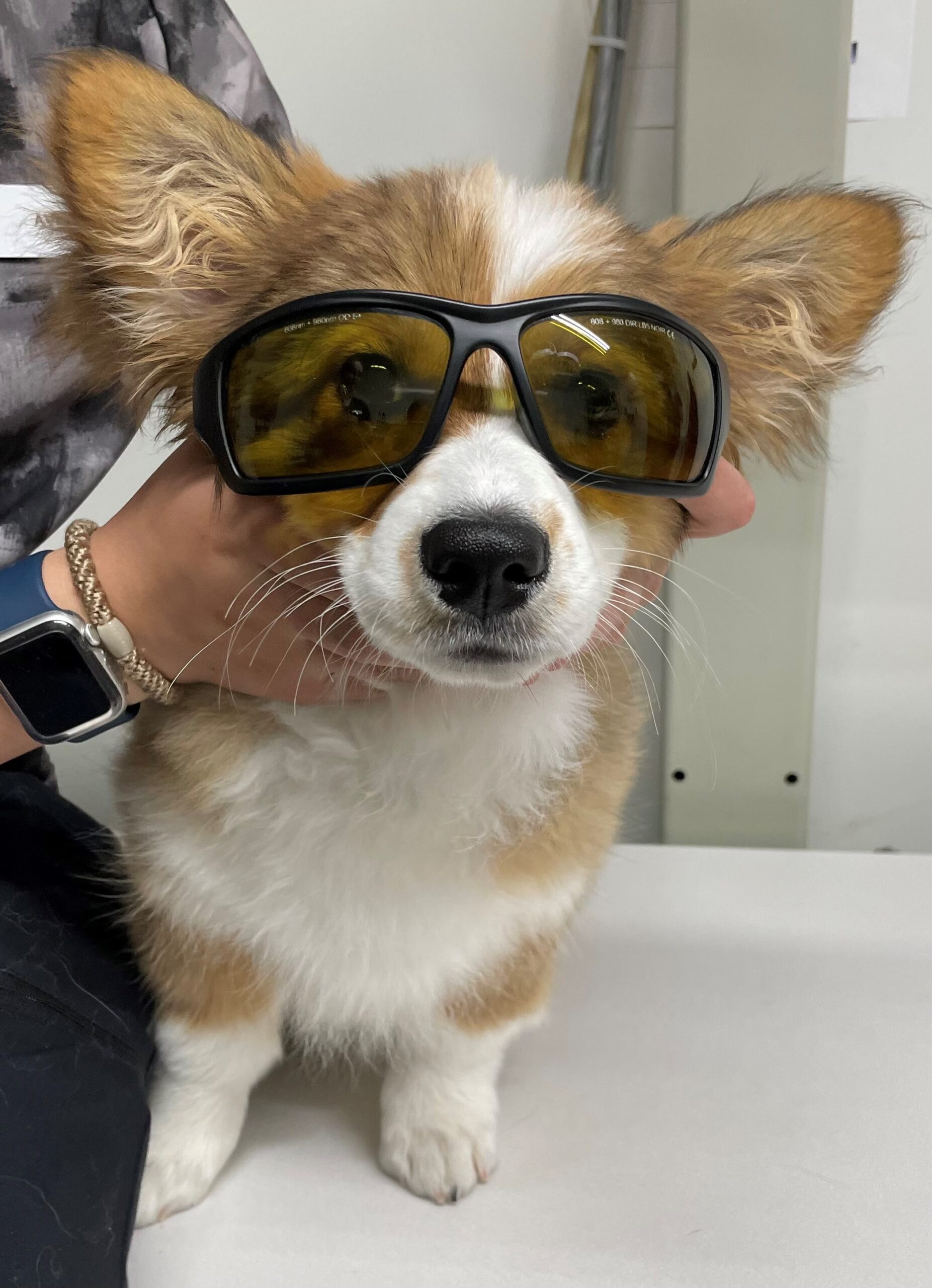 Cold Laser Therapy